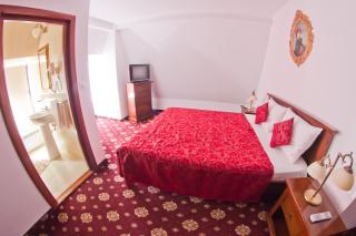 Vila Royal - Bacău - 9