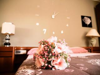 B&B Laura - Dolianova - 9