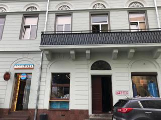 Apartment in a city center! Krakivska,34 - Lviv - 9
