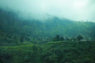 Blanket Hotel & Spa - Munnar - 8