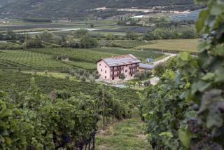 Residence La Vigna - Arco - 7