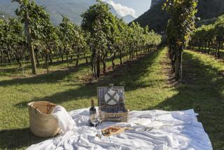 Residence La Vigna - Arco - 4
