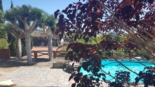 EL PEDRAL - Los Llanos de Aridane - 5