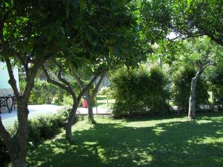 Villa Nike B&B - San Foca - 8