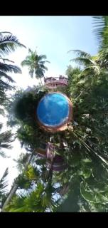 Wilson Ayurvedic Beach Resorts - Kovalam - 7