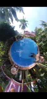 Wilson Ayurvedic Beach Resorts - Kovalam - 9