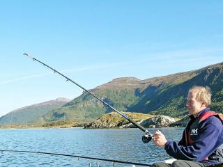 Three-Bedroom Holiday home in Gullesfjord - Flesnes - 8