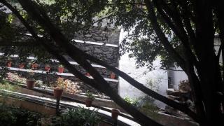 Shamrock Holiday Home - Munnar - 6