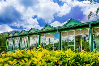 Punsisi Resort - Adam's Peak - 2