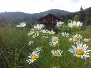 Вище за хмари - 1