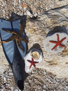 Stella Marina Family Apartment 3 - Dhërmi - 1