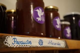 La Casona De Odile - 5