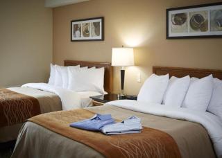 Comfort Inn Timmins - Timmins - 7