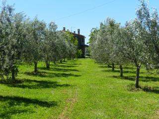 Agriturismo Le Sorgenti - Pitigliano - 2