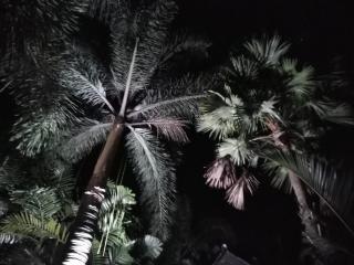 Sanuk Bungalow - Khao Lak - 2