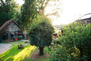 Ferienhaus Rodewald - 8