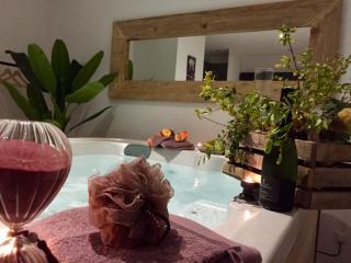 La villa Crau Alpilles Camargue - Saint-Martin-de-Crau - 1