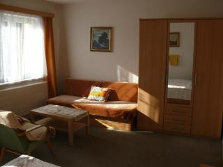 Penzion Dana Troja - 8