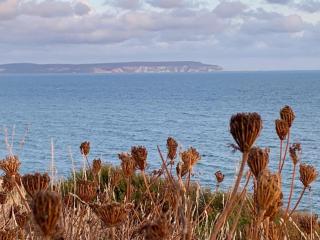 Shorefield country Park, where the New Forest meets The Sea, passes for all entertainment included - 8