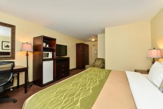 Comfort Inn - Halifax - 1