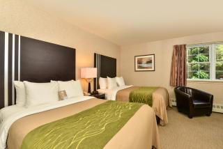 Comfort Inn - Halifax - 3