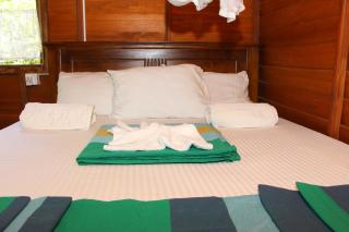 Tree House-Midigama - 3