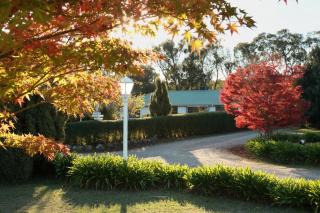 Home Farm Healesville - Healesville - 9