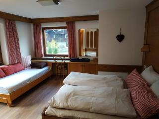 Haus Gartner 4-5 pers appartement - Sulzau - 3
