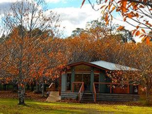Chestnut Glade - 8