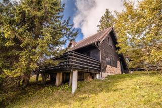 Tree Top Rogla Apartment - 8