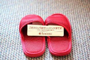 HOTEL GLOBAL VIEW Niigata - Niigata - 6