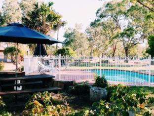 Seymour Motel - Seymour - 9