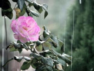 Jacobs Creek Retreat - Barossa Valley - Tanunda - 9