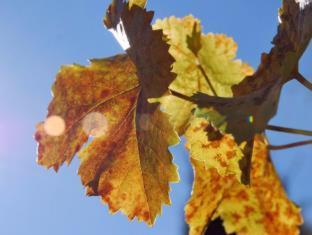 Jacobs Creek Retreat - Barossa Valley - Tanunda - 4