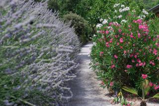 Logis Hôtel Restaurant Le Domaine de l'Eau Vive - 5