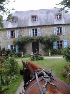 Manoir de la Peignie - Merdrignac - 4