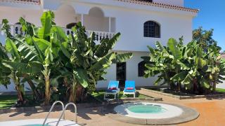 Villa Carolina with private pool - 3