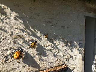 Le Gîte au Coin des Abeilles - 7