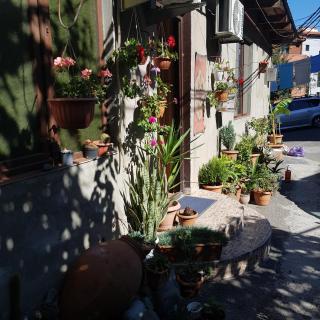 Guesthouse Gia - Tbilisi - 0