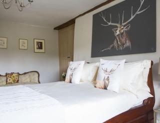 Forthay Bed and Breakfast - North Nibley - 8
