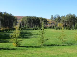 La maison sous les arbres - Saint Roch de Mekinac - 4