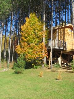 La maison sous les arbres - Saint Roch de Mekinac - 5