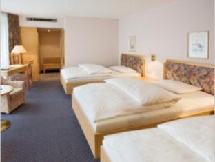 Erikson Hotel - 9