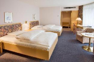 Erikson Hotel - 3