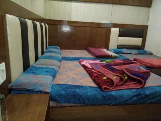 Silver Palace Hotel - New Delhi - 6