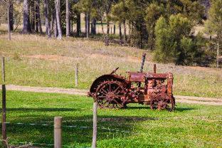 Hunter Valley Resort, Hunter Farm Adventure Centre & 4 Pines at the Farm - Pokolbin - 7