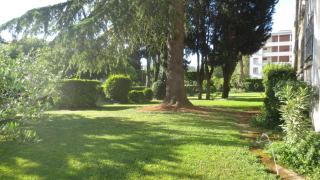 Le transvaal - Avignone - 0