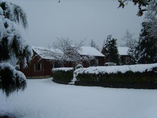 Forest Peak Motel - Hanmer Springs - 3