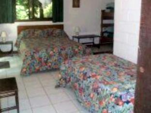 Daintree Deep Forest Lodge - Cape Tribulation - 5