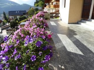 Appartamento Panorama Bormio - Bormio - 4